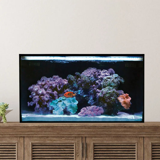 20 NUVO Fusion AIO Long Aquarium - Innovative Marine